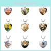 Delightful Heart Shaped Cat Necklace With Versatile Lengths And Stunning Colors For Everyday Fashion