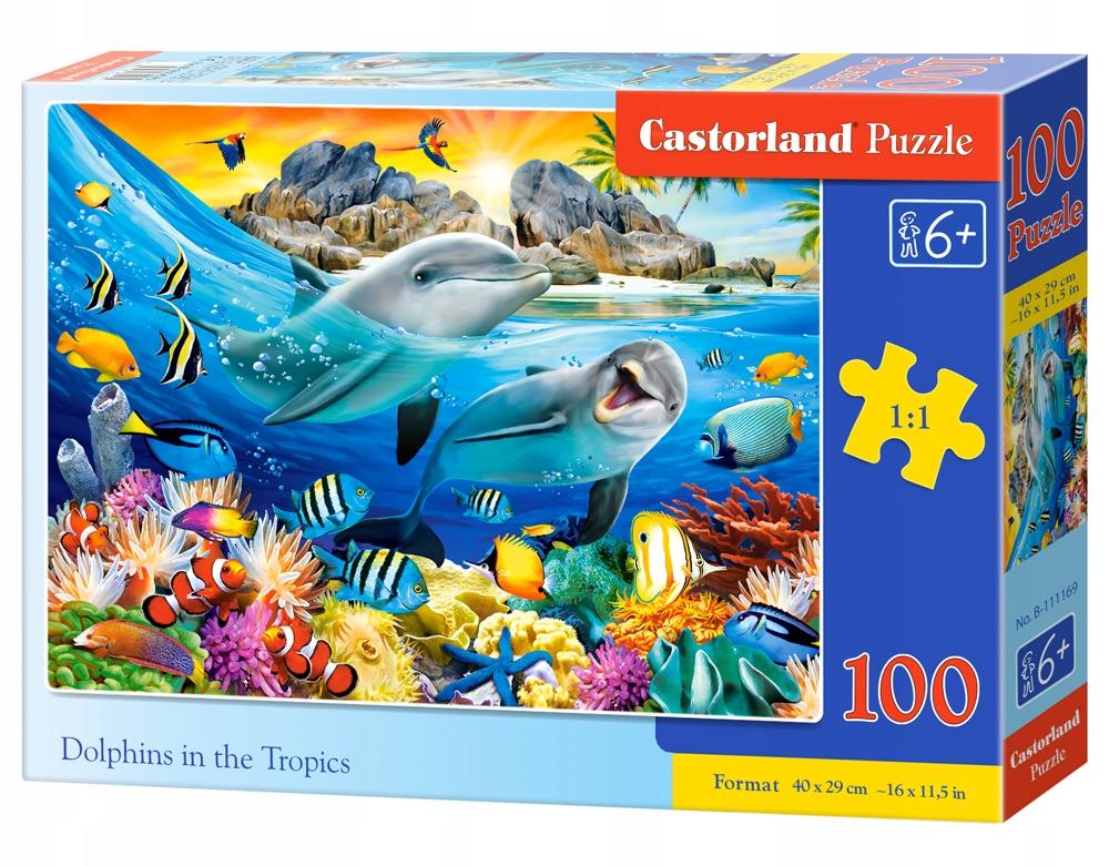Puzzle 100 B-111169 Dolphins in the Tropics