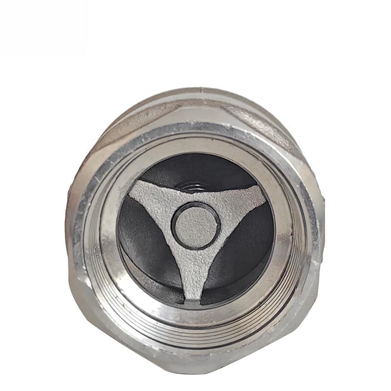 Aojing 304 Stainless Steel Vertical Check Valve