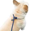 Dog Leash Slip Rope Lead Leash Heavy Duty Braided Rope Adjustable Loop Collar Training Leashes for Small Medium Dogs