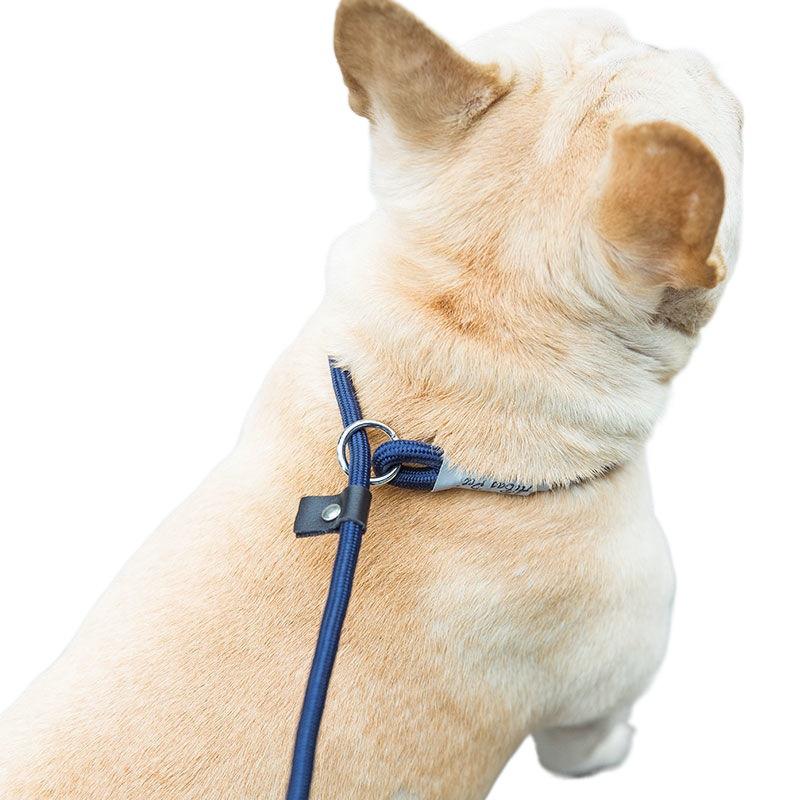 Dog Leash Slip Rope Lead Leash Heavy Duty Braided Rope Adjustable Loop Collar Training Leashes for Small Medium Dogs