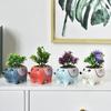 Cute Hedgehog Succulent Pot Ceramic Flower Pot Planter Home Decor Indoor Decoration Desktop Ornaments Bonsai Plant Pot