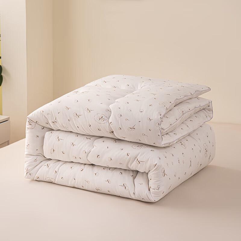 

PAUI DAVID Cloud Velvet Quilt