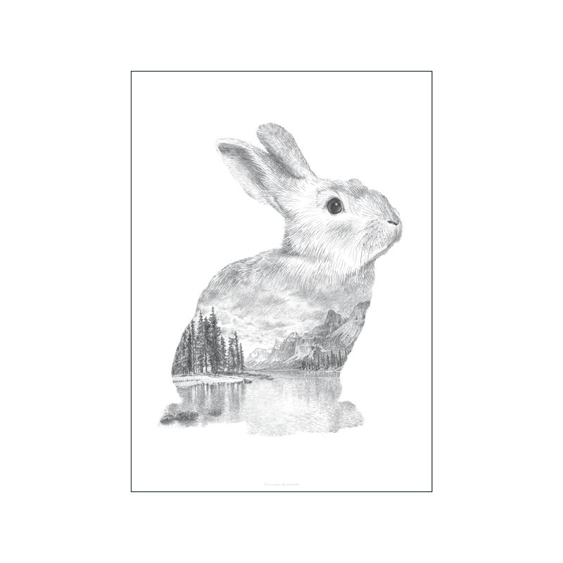 Animale în stil nordic poster estetică ilustrație peisaj natural Ursul lup imprimare pânză Walll Art Decorare acasă Decor camere