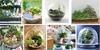 Halloween small ornaments micro landscape DIY crystal ball accessories resin small ornaments