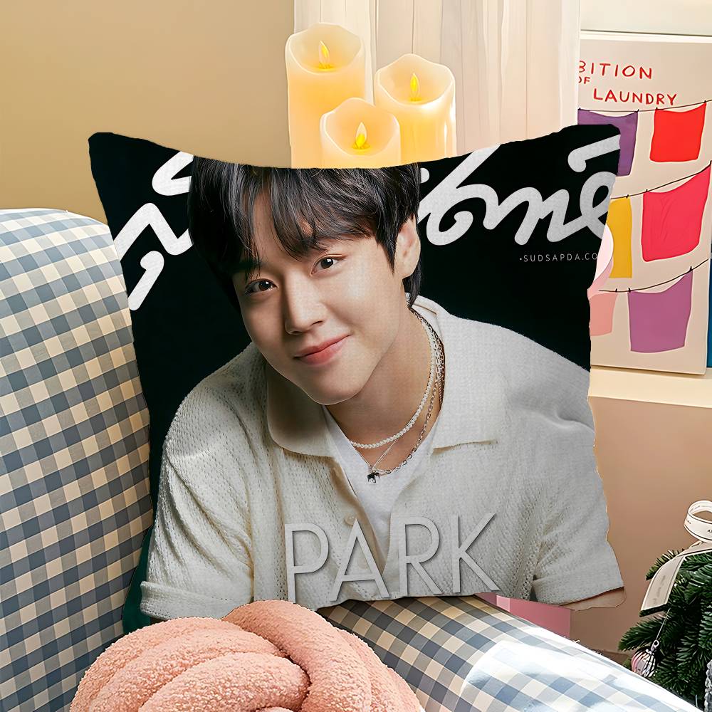 Korean P-PARK JI HOON Cushion Cover Pillowcase Upholstery Sofa Throw Pillow Home Decor Pillowcas