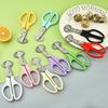 Stainless Steel Quail Egg Opener Scissors - Eggshell Cutter and Kitchen Shears
