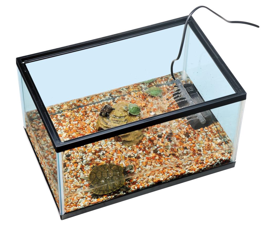 GEX Turtle Paradise 450