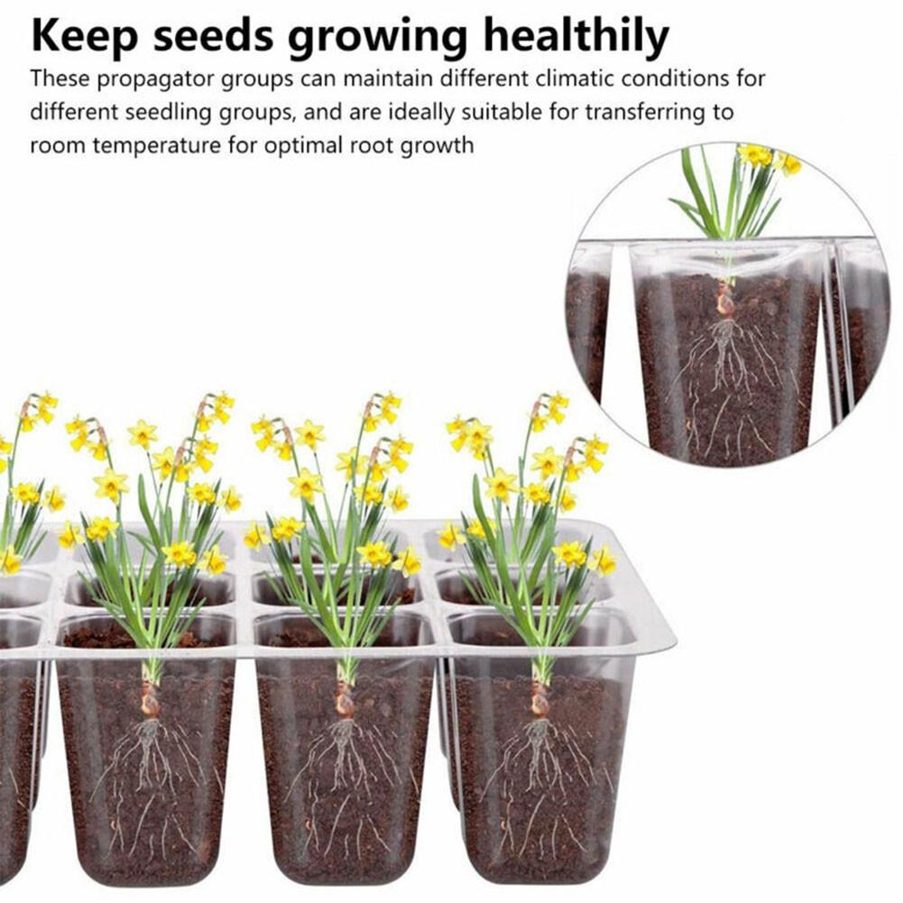 Propagation Nursery Pots Tomatoes Compartments Courtyard Farm