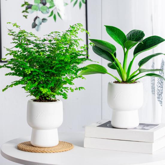 Self-absorbing Flowerpot with Cotton Rope Planter Double-layer Breathable Structure And Water Storage Tank Flower Pot for Indoor Plants
