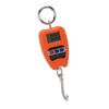 Portable Electronic Scale High Accuracy Digital Hanging Scale 200kg Weight Capacity Crane Scale for Food Luggage
