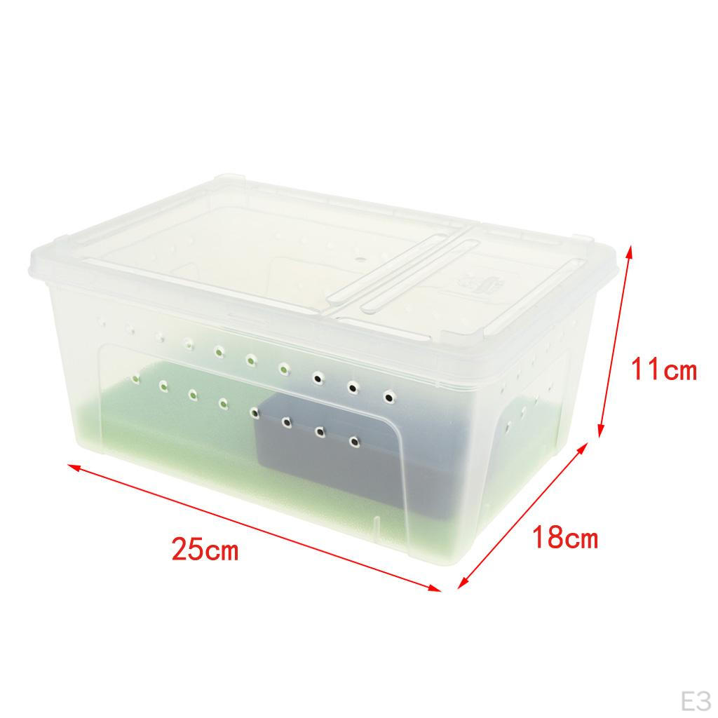 Pet Reptile Spider Breeding Box Transport Case Feeding Hatching Tank