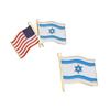 US-Israel Freundschaftsflagge Anstecknadel - Metallabzeichen mit Nationalflaggen zur Dekoration von Kleidung