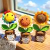 Crochet Potted Tabletop Words of Encouragement Forget-me-not Crochet Orange Convolia Heart-warming Ornament
