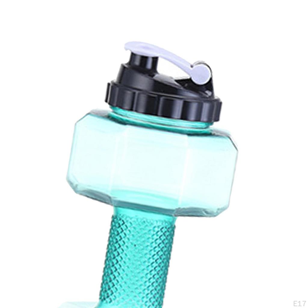 Companion for Fitness Enthusiasts