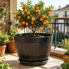 Flowerpot with Built-In Drainage System Rustic Style Garden Container Entryway Decorative Planter Barrel Flowers Herbs Vegetables Small Shrubs Balcony