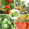 100 Pcs Fruit Protection Bags, 8 x 12 Inch Green Netting Cover Bags with Drawstring, Pest Barrier for Fruit Trees, Garden Fruit Cover Mesh Bag for