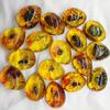 Random 1Pc Insects Amber Gemstone Scorpion Natural Mineral Home Decor Insects Amber Gemstone Diy Hand Crafts Gift