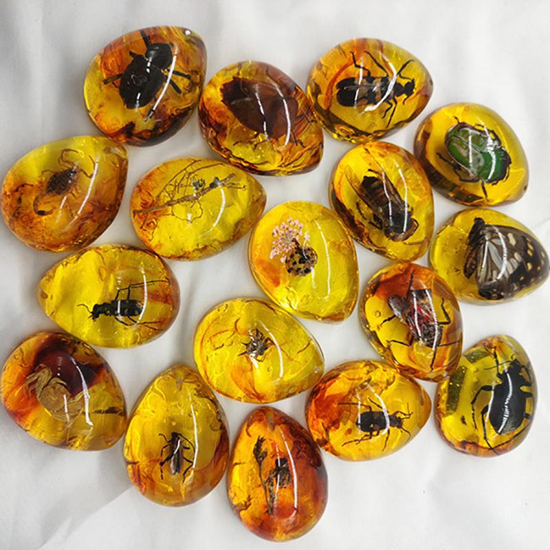 Random 1Pc Insects Amber Gemstone Scorpion Natural Mineral Home Decor Insects Amber Gemstone Diy Hand Crafts Gift