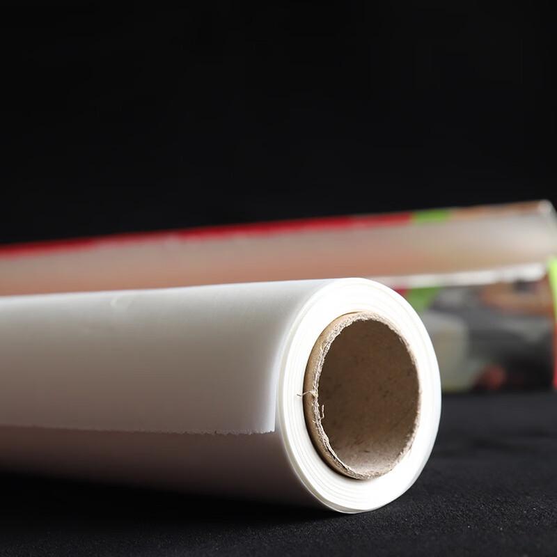 ZISIZ Double-Sided Silicone Baking & Cooking Paper