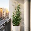 Decorative Garden Plant Trellis Iron Metal Plant Trellis Frame Plant Support Rack  Garden Trellis