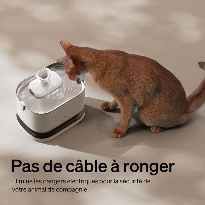 Fontaine à Eau pour Chat - PETLIBRO - Dockstream - 2,5L - Sans Fil - Capteur de Mouvement