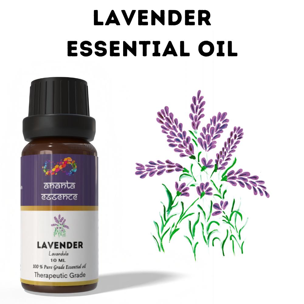 

Ananta Lavender Essential Oil 10 ml – Floral Aroma Oil for Diffusers, Candles and Home Fragrance volume - 10ml