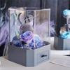 Caixa de Presente Prática-Rosa Andi Amo Você-O Presente Perfeito Para Mulheres Em Ocasiões Especiais