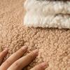 Home Decoration Sofa Cushion Winter Thick Plush Sofa Covers Lamb Wool Anti Slip Sofa Protective Blanket Sofa Dust Cover Towel