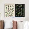 Retro Botanische Kunstwerke Britische Bäume Sammeln Wildnahrung Pilze Wildblumen Poster Leinwandmalerei Wandbilder Heimdekor