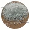 MIYUKI Transparent Gold Glass Seed Beads with Silver Lining