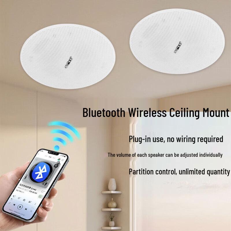 SAST D30 Wireless Bluetooth In-Ceiling Speaker Set