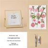 Nordic Creative DIY 3D Dried Flower Frame Kit - Simple Metal & Glass with Glue
