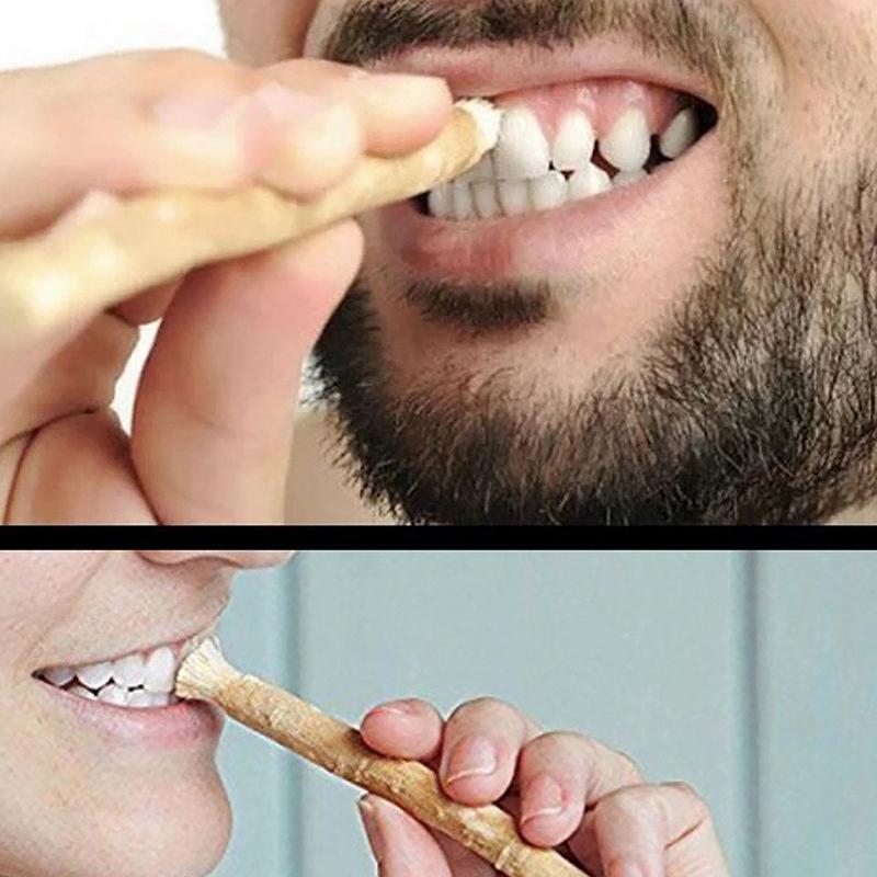 Miswak Siwak Natural Toothbrush Misvak Traditional Arak Miswaak Manual Teeth Whitener Soft Travel Toothbrush