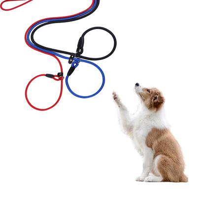 Guinzaglio per cani resistente e antiscivolo, anello regolabile, corda intrecciata in nylon ad alta densità, guinzaglio da addestramento dai colori vivaci per cani di taglia grande, media e piccola