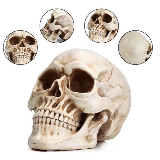 Skull Ornament Realistic Details Resin Crafted Desktop Skull Statue Halloween Office Home Desk Accessory