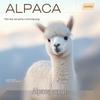 Sancai Alpaca Blend Stand Collar Double-Faced Wool Coat