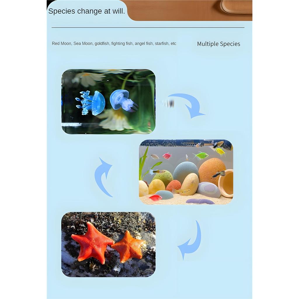 Acquario per meduse semi-circolare da scrivania mini acquario domestico filtro con separazione umido-secco telecomando alimentazione USB