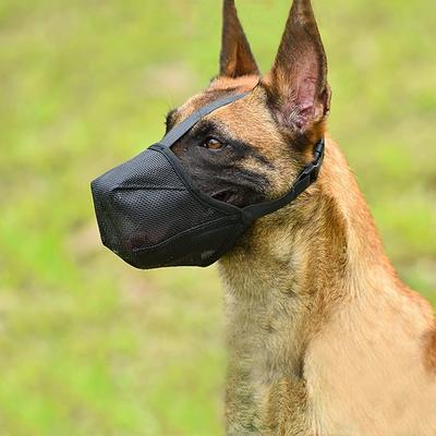 Ranboer Medium To Large Dog Mesh Muzzle L, Black, 1 Piece