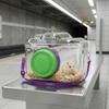 Gabbia Trasparente per Uscita Animali Domestici Borsa Trasportino Ventilata per Criceti Borsa per Trasferimento Animali Domestici Uscita di Primavera