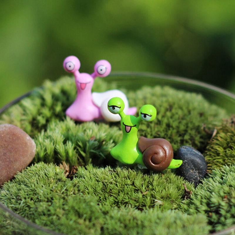 Decorate the Home Potted Landscape with Mosses In the Glass Container