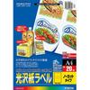 KOKUYO (KOKUYO) Color Laser Color Copy Labels, Gloss, Uncut, 20 Sheets, LBP-G6900