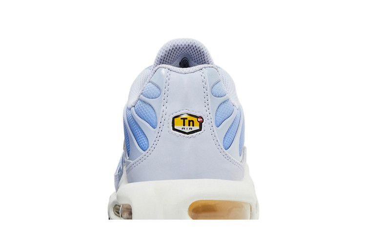 Nike Air Max Plus Daybreak (Women's)