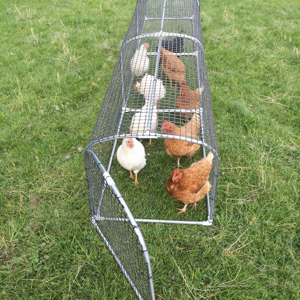 Rainproof Outdoor Free-Range Chicken Run and Coop Tunnel