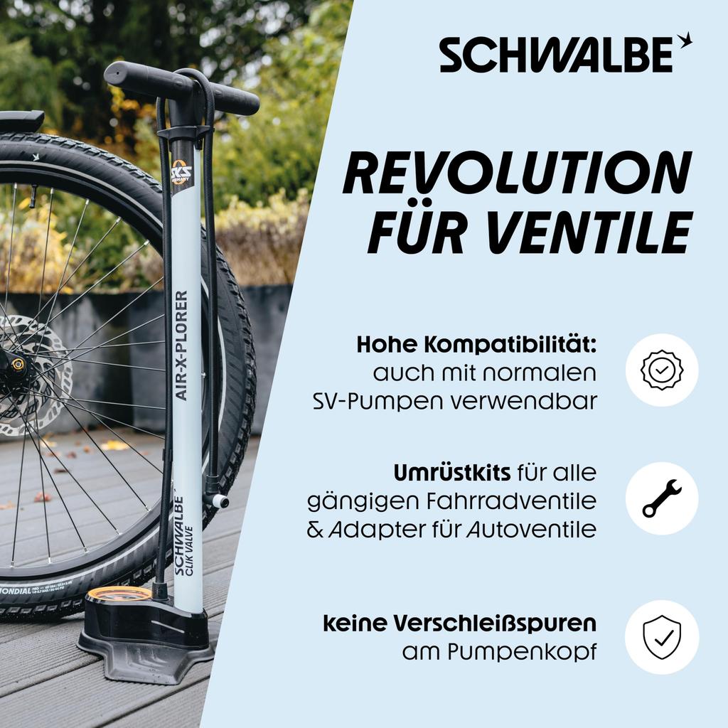 Schwalbe, 3531.