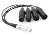 ZBLZGP Audio Breakout InputOutput Cable, 10-pin Male to 4XLR, for Atomos Shogun Inferno Monitor Recorder (Straight Cable)