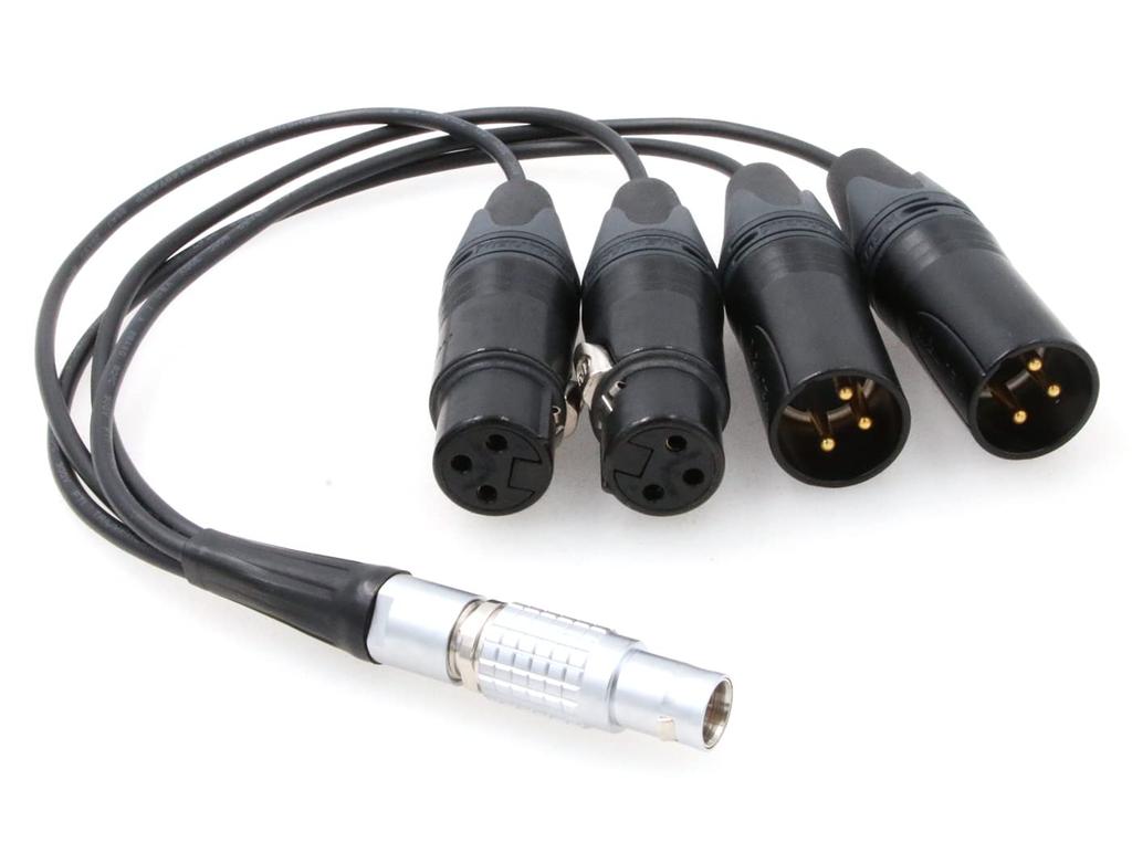 ZBLZGP Audio Breakout InputOutput Cable, 10-pin Male to 4XLR, for Atomos Shogun Inferno Monitor Recorder (Straight Cable)