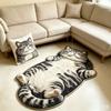 Cute Cartoon Irregular Faux Cashmere Floor Mat, Water Absorbent Non-Slip Bath Rug Wear Resistant Decor Carpet for Bathroom Bedroom