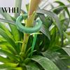 Twist Prevention Plant Support Stake 10Pcs Stakes Slot Design Easy to Use Versatile Application Indoor Heavy Rain Flower Stand Outdoor Single