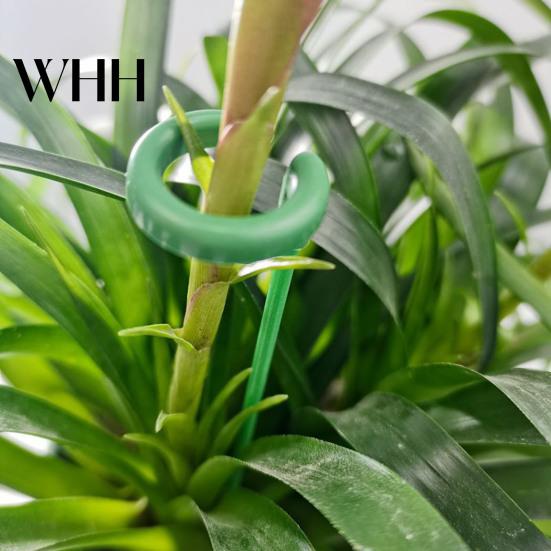 Twist Prevention Plant Support Stake 10Pcs Stakes Slot Design Easy to Use Versatile Application Indoor Heavy Rain Flower Stand Outdoor Single
